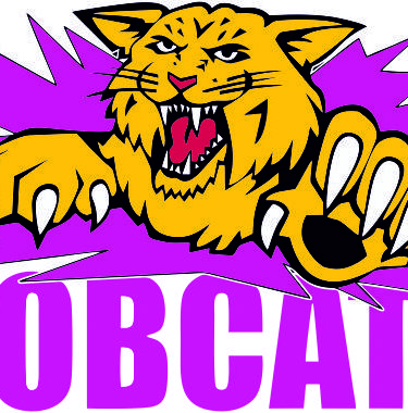 Web shop managed on behalf of the Bobcats