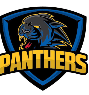 Web shop managed on behalf of the Swindon Panthers