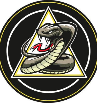 Web shop managed on behalf of Chelmsford Cobras