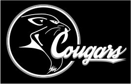 Web shop managed on behalf of Glenrothes Cougars