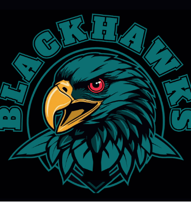 Web shop managed on behalf of Blackhawks