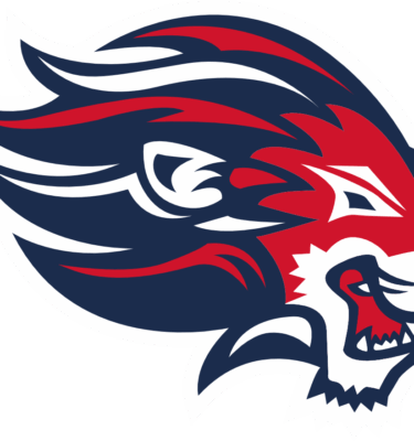 Web shop managed on behalf of GB Lionesses Ball Hockey